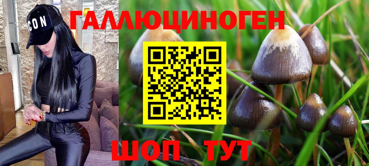 Псилоцибиновые грибы Magic Shrooms  Вход с VPN  Мценск 